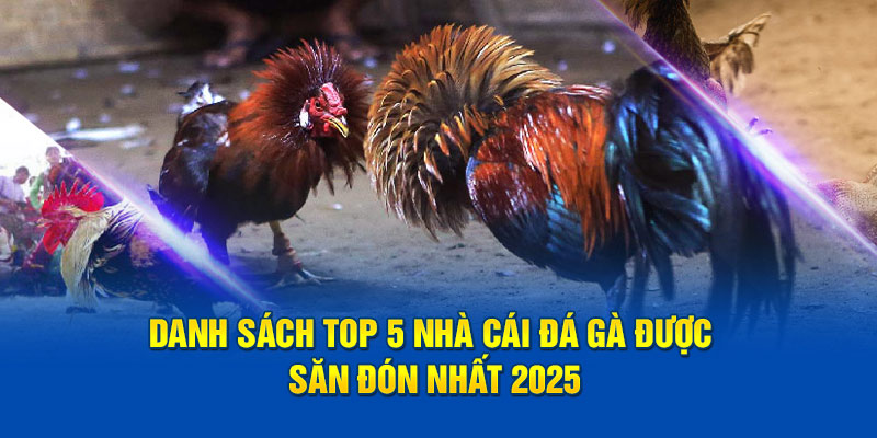 Danh sách top 5 nhà cái đá gà được săn đón nhất 2025