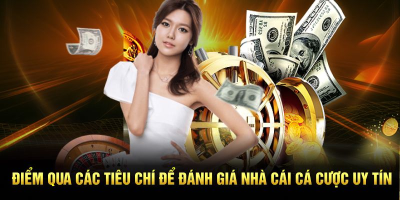 Điểm qua các tiêu chí để đánh giá nhà cái cá cược uy tín