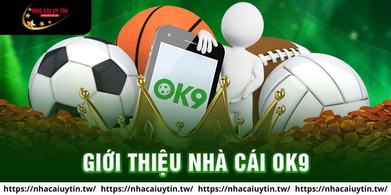 Đôi nét giới thiệu tổng quan về nhà cái OK9