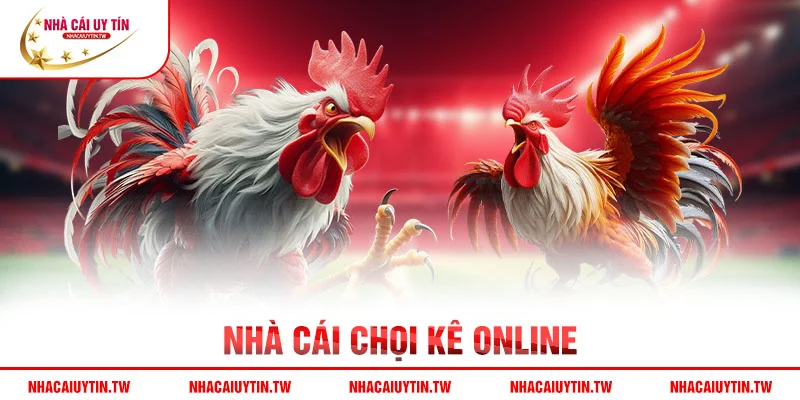 Nhà cái chọi kê online