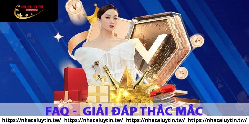 Những câu hỏi thường gặp về chất lượng của website này