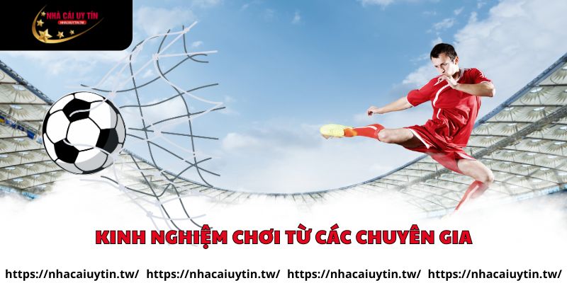 Kinh nghiệm chơi từ các chuyên gia