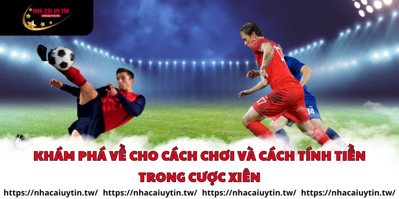 Khám phá về cho cách chơi và cách tính tiền trong cược xiên